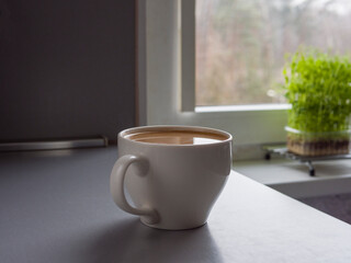 White ceramic mug brewing dark coffee resting near sunlit window, microgreens sprouting softly beside, capturing peaceful morning stillness in minimalist kitchen setting