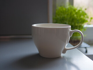 Large white mug resting on a gray kitchen counter, accompanied by a green plant in the background near a window, cultivating a cozy and refreshing atmosphere perfect for morning moments