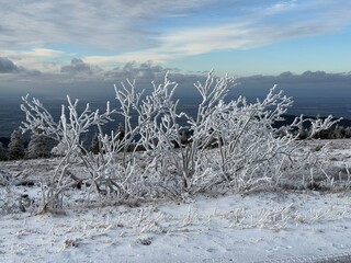 Winter 2025 auf der Hornisgrinde