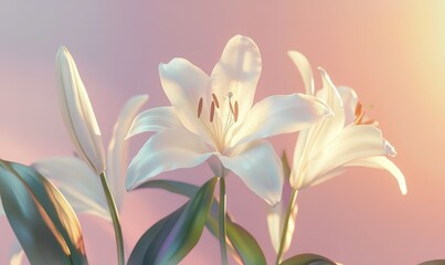 Obraz premium Elegant white lily blooming against a soft pastel background, its delicate petals illuminated by gentle natural light for a serene feel