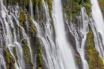 Fototapeta premium Waterfall Extract