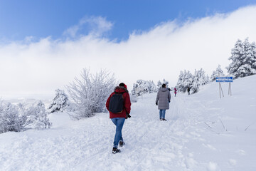 Rear view of a man and woman hiking up a snow-covered mountain top, surrounded by icicle-covered pine trees and an epic white cloudy sky, embracing adventure, winter exploration, and nature’s beauty