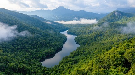 Misty mountain river valley, lush green forest, aerial view, nature travel