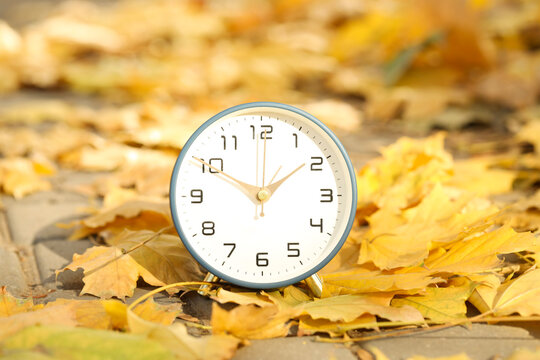 Autumn time. Alarm clock and fallen leaves on pathway outdoors, closeup