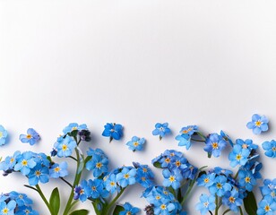 blue flowers forget me not on a white background top view flat lay