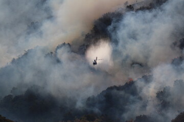 Palisades Wildfire Raging Through California’s Coastal Landscape – Thick Smoke and Scorched Terrain in Los Angeles Wildfire Disaste