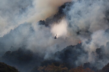 Naklejka premium Palisades Wildfire Raging Through California’s Coastal Landscape – Thick Smoke and Scorched Terrain in Los Angeles Wildfire Disaster