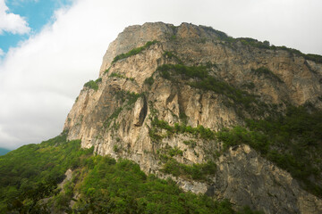 Fototapeta premium Rocky mountain top with bushes on the background of cloudy sky. Background image. Copy space.