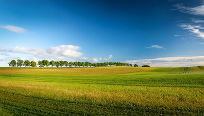 Obraz premium tree line at the horizon of a vast farm field in rural prince edward island