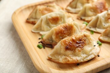 Delicious fried gyoza dumplings with green onions on table, closeup