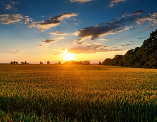 sundown over a rural farm field and treeline