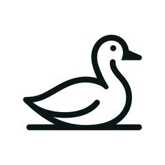 swan on a white background