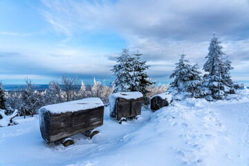 A peaceful winter landscape with snow-covered ground, old wooden vehicles, snow-covered fir trees and a picturesque sky