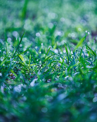 雫のプリズム_004