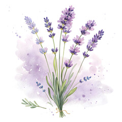 Naklejka premium Beautiful Lavender Flowers Bouquet Isolated