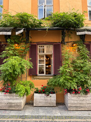 old house with flowers