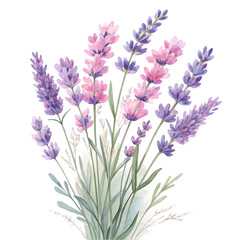 Naklejka premium Beautiful Lavender Flowers Bouquet Isolated