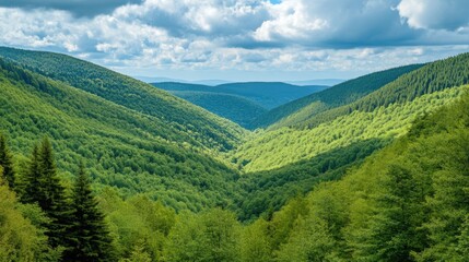 Naklejka premium A pristine valley with rolling hills covered in vibrant forests, under a bright sky with fluffy white clouds. The peaceful scene emphasizes the importance of nature preservation and environmental sust
