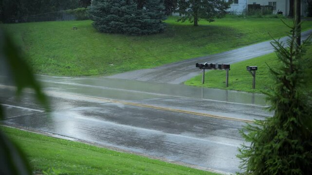 Rain falling on green residential aria, on a wet summer day. Mail boxes near the road on a summer rainy day.