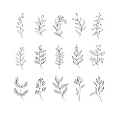 A collection of hand-drawn botanical elements with intricate floral details. Suitable for digital art, fabric prints, greeting cards, and branding.