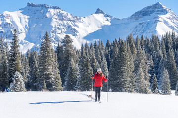 Cross country skier in Colorado with dog