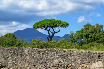 Pompeii, Campania, Naples, Italy, Europe