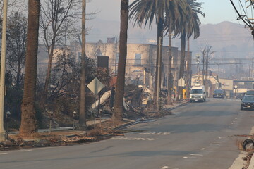 Palisades Wildfire Raging Through California’s Coastal Landscape – Thick Smoke and Scorched...