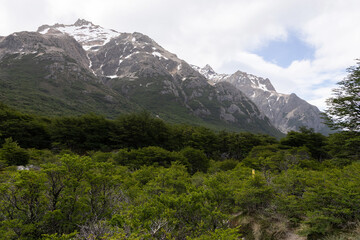 Fototapeta premium Landscape composed of Patagonian forests and icy mountains