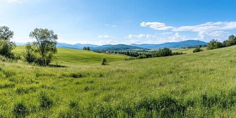 Sunny meadow, mountain view, summer day. Peaceful landscape, travel