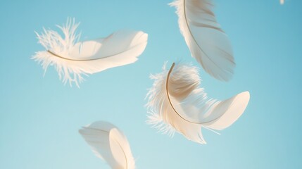 Naklejka premium Floating White Feathers Against a Soft Blue Sky, Creating a Dreamy, Light, and Peaceful Aesthetic That Feels Airy, Elegant, and Minimalist, Perfect for Social Media and Branding