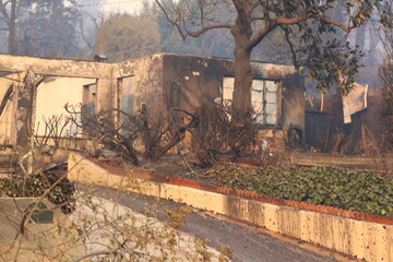 Fototapeta premium Palisades Wildfire Raging Through California’s Coastal Landscape – Thick Smoke and Scorched Terrain in Los Angeles Wildfire Disaster