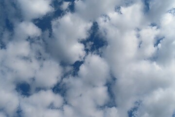 Obraz premium Stratocumulus clouds covered blue sky, natural cloudscape