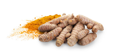 Turmeric powder and fresh root isolated on white