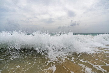 Fototapeta premium Martinica, Salines Beach - 8 February 2024 - Big waves at Les Salines in Martinique
