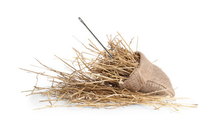 Sewing needle in hay on white background