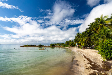 Guadalupe, Saint Anne - 9 February 2024 - The tropical landscape of Sainte Anne in Guadeloupe