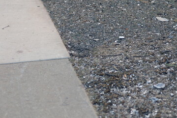 Palisades Wildfire Raging Through California&rsquo;s Coastal Landscape &ndash; Thick Smoke and Scorched Terrain in Los Angeles Wildfire Disaster