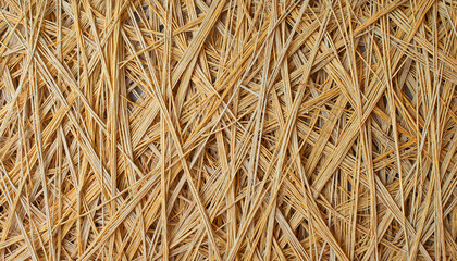 Willow wood weaving texture background, natural craftsmanship