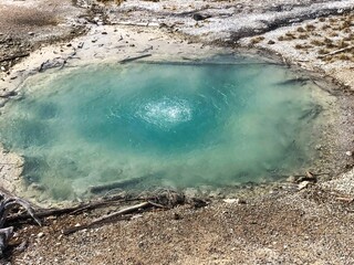 Branch Spring in the Norris Back Basin, Yellowstone National Park in Wyoming.
