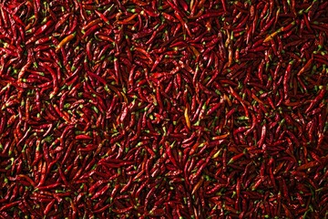 Naklejka premium Abundance of red chili peppers filling frame. Neural network AI generated