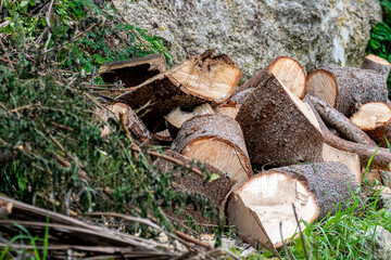 Pile of wood logs cut into large pieces.