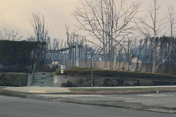 Palisades Wildfire Raging Through California’s Coastal Landscape – Thick Smoke and Scorched Terrain in Los Angeles Wildfire Disaster