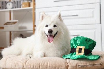 Cute Samoyed dog with leprechaun's hat at home. St. Patrick's Day celebration