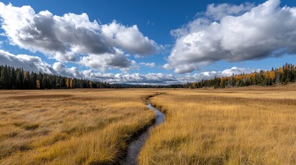 Autumn meadow stream, mountain backdrop, sunny sky