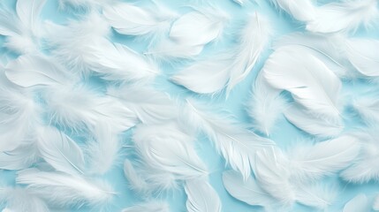 Obraz premium White feathers scattered on a light blue background create a soft and serene atmosphere for creative projects
