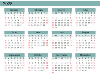 2025 Yearly Calendar Vector in Blue, Sunday Start, Clean Design, Printable Template
