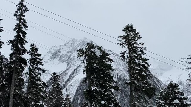 Motion across autumn bare forest to snow-capped rock mountain. Inspiring trip in highland countryside with old cliff range on nice day. Nature beauty.