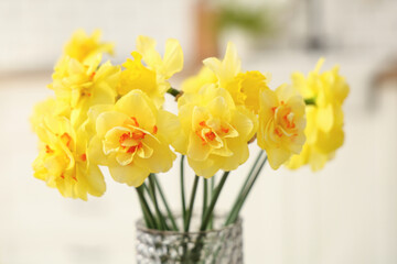 Beautiful bouquet of daffodils in glass vase in kitchen, closeup