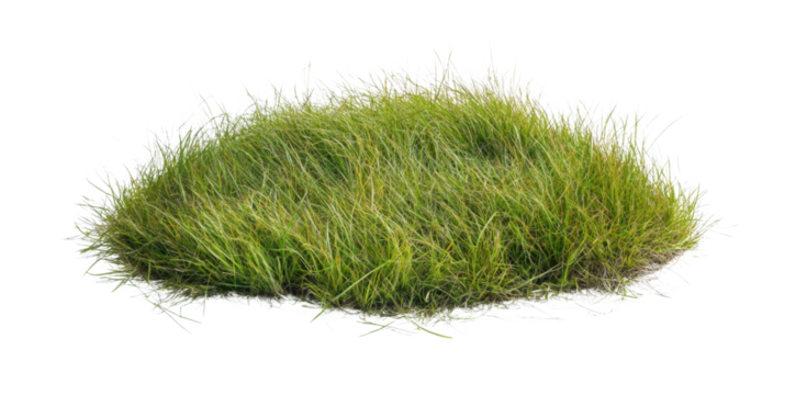 Lush green grass clump isolated on a transparent background, perfect for compositing and adding natural elements to your designs, creating realistic landscapes