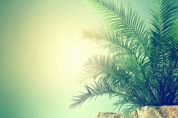 Naklejka premium Lush green palm leaves against a soft, dreamy background